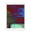 Apple iPad Air mit Display kaputt