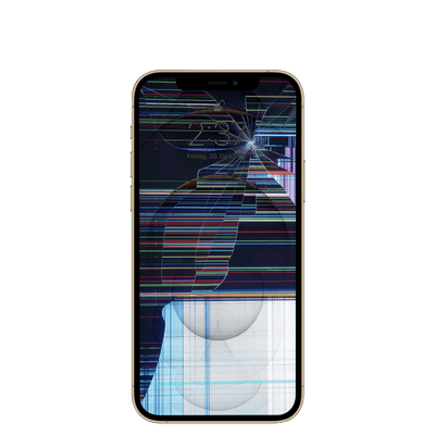 Apple iPhone 12 Pro Max mit Display kaputt