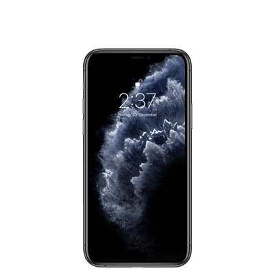 iPhone 11 Pro Max Reparatur